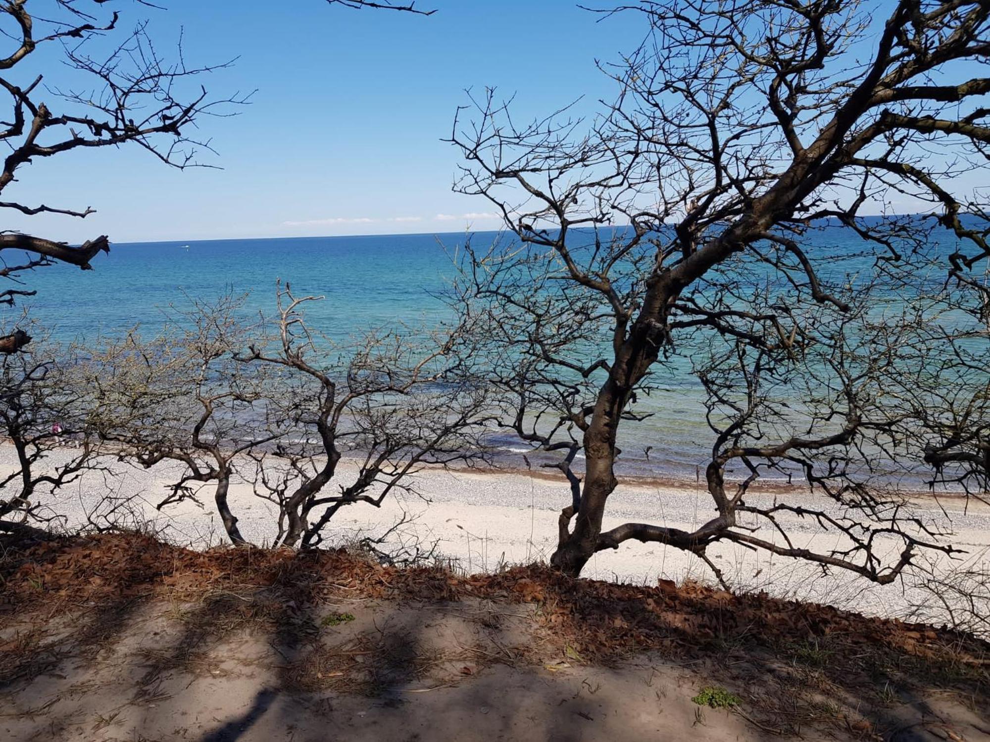 Strandnahe Finnhuette Elmenhorst/Lichtenhagen Dış mekan fotoğraf